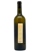 Bianco 2024 by Momento Mori