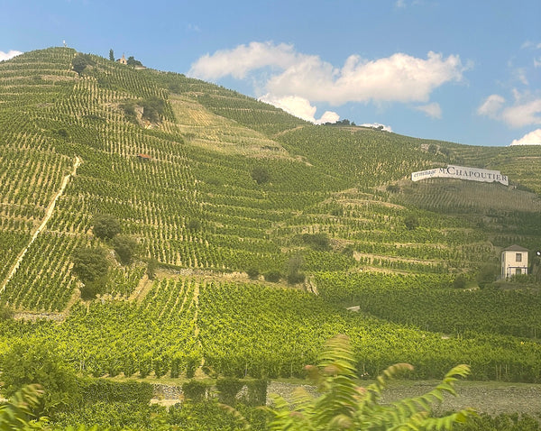 The Northern Rhône - An obsession that starts after the first glass…