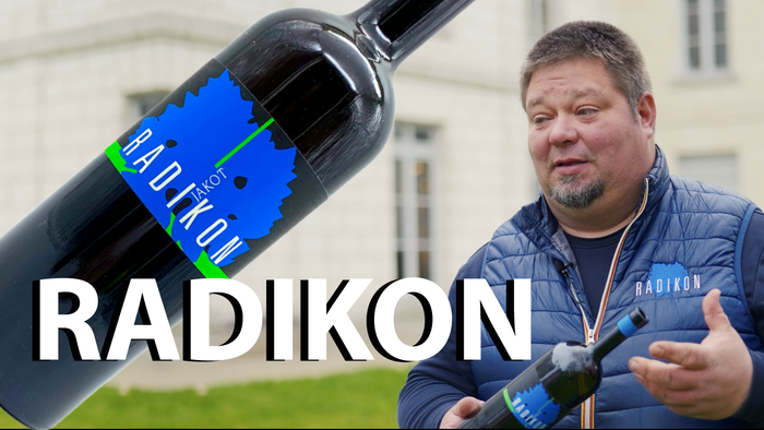 Saša Radikon Video Interview Jakot