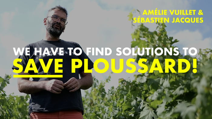 Amélie Vuillet & Sébastien Jacques JURA WINE DOCUMENTARY