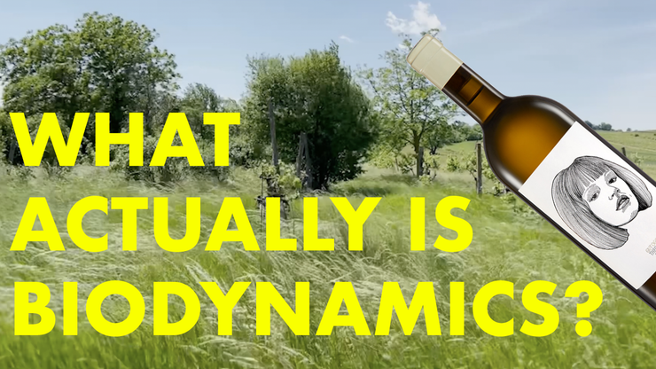 GUT OGGAU. What is biodynamics?