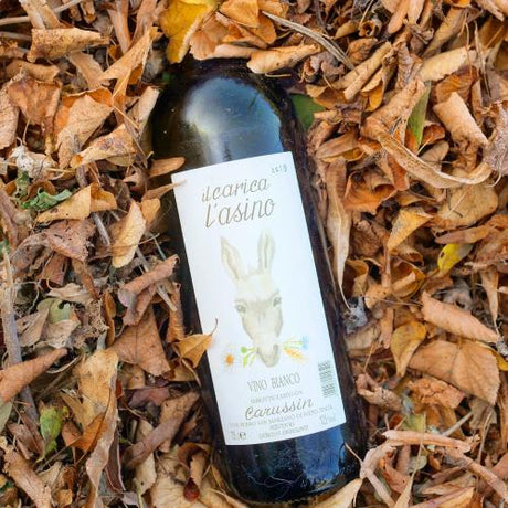 Carussin | MORE Natural Wine