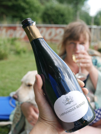 Larmandier Bernier | MORE Natural Wine.