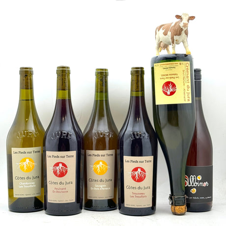 Valentin Morel - Les Pieds sur Terre Jura 