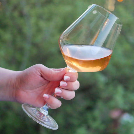 Navarra Natural Wine