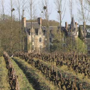 Ce Soir, c'est Loire