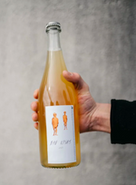 Bad Ideas | Natural Wine by Aeblefald Cider.