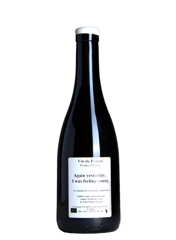 Again yesterday, I was feeling young 2022  | Natural Wine by Anders Frederik Steen.