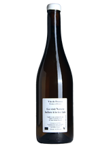 Anders Frederik Steen - Go Visit Nature Before Its Too Late
