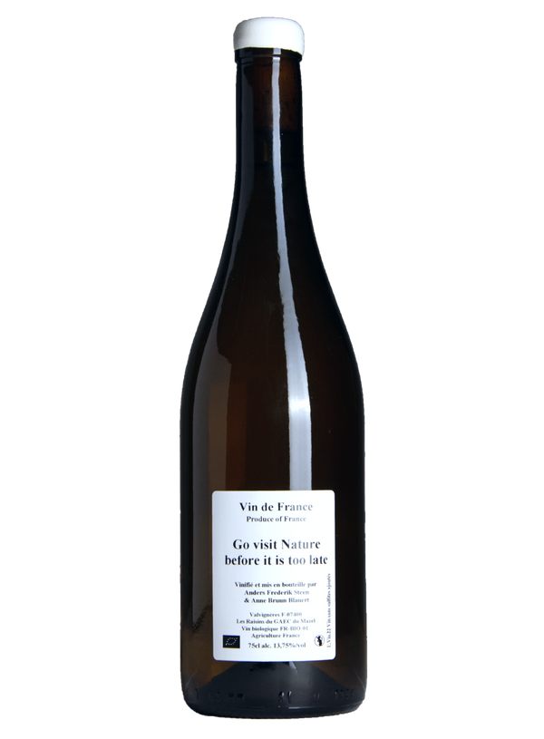 Anders Frederik Steen - Go Visit Nature Before Its Too Late
