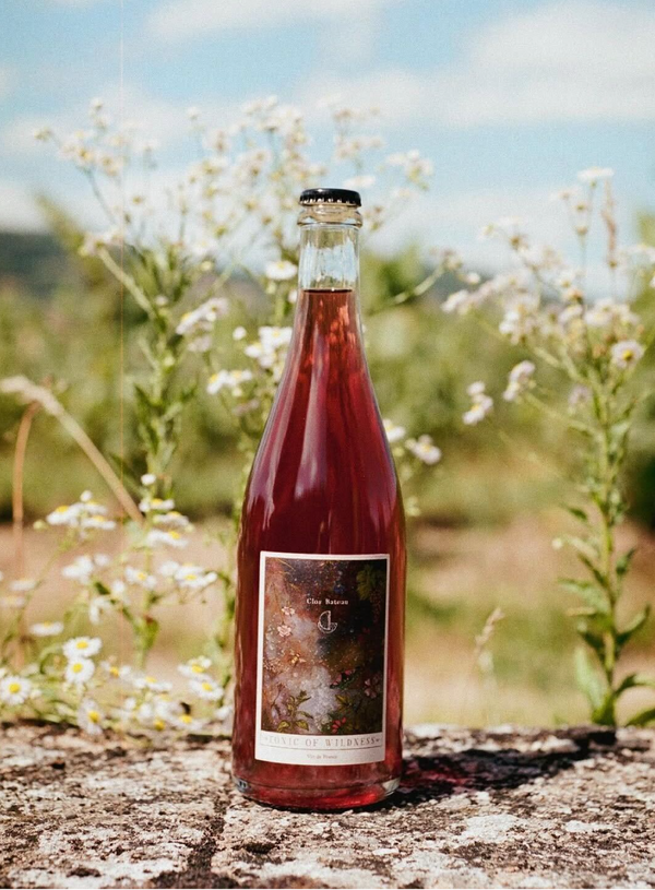 Tonic of Wildness 2020 (RARE, 810 bottles) | Natural Wine by Clos Bateau.