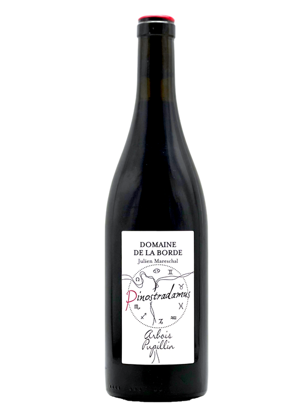 Pinostradamus Pinot Noir 2022 | Natural Wine by Domaine de la Borde.