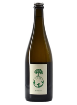 Ex vero II S  | Natural Wine by Werlitsch.