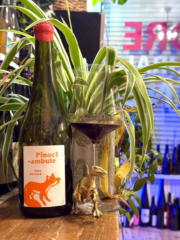 Tony Bornard - Le Pinoctambule 2022