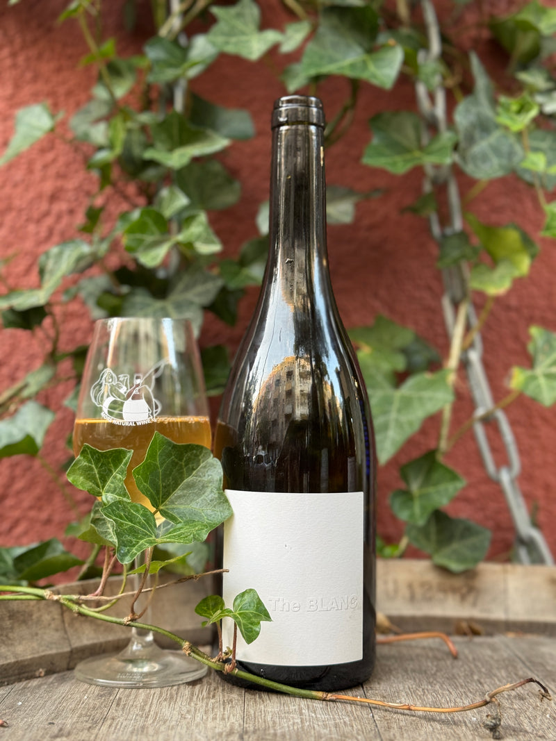 Patrick Bouju - The Blanc 2022 /23 (One per order)