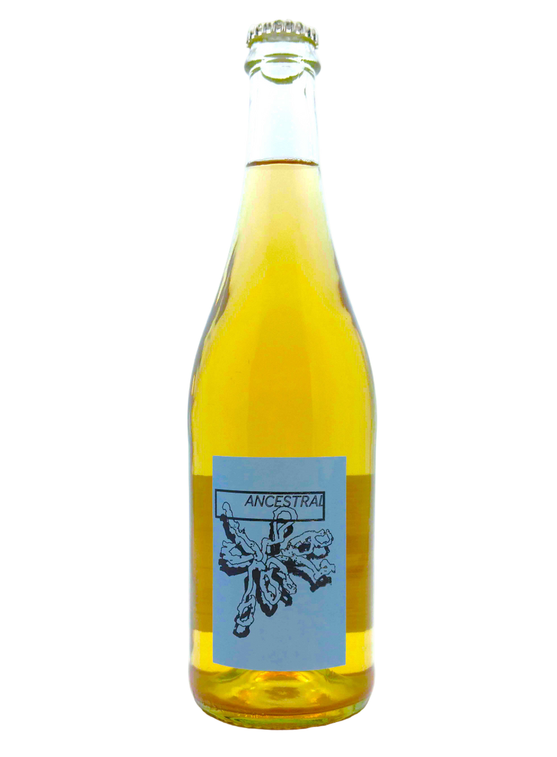 Ancestral 2022 | Natural Wine by Hannes Bergdoll.