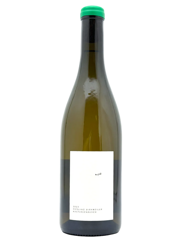 Bergdoll Riesling Birkeiler Kastanienbusch