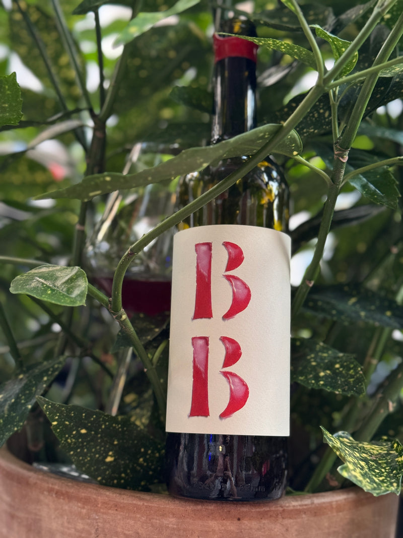 BB 2023 is a natural wine crafted by Partida Creus