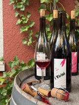 Jean Yves Peron - Dolcetto 2023