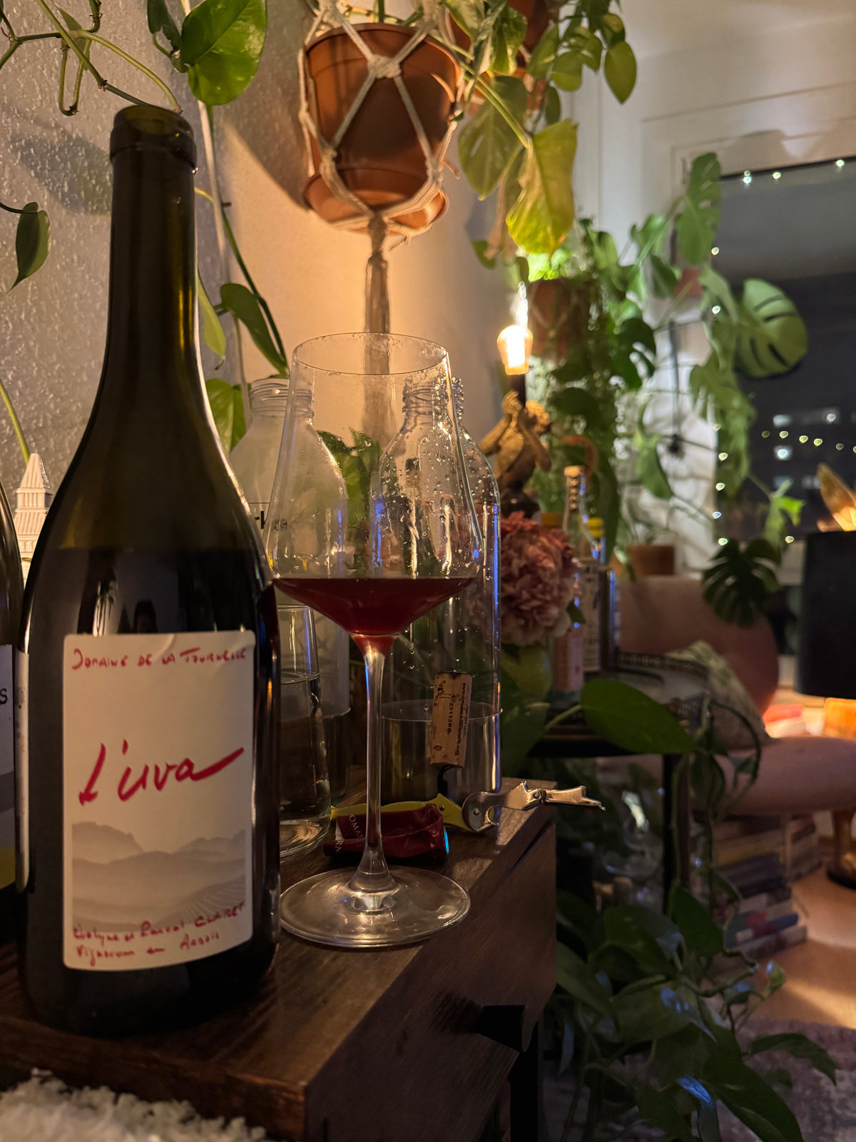 Domaine de La Tournelle | MORE Natural Wine