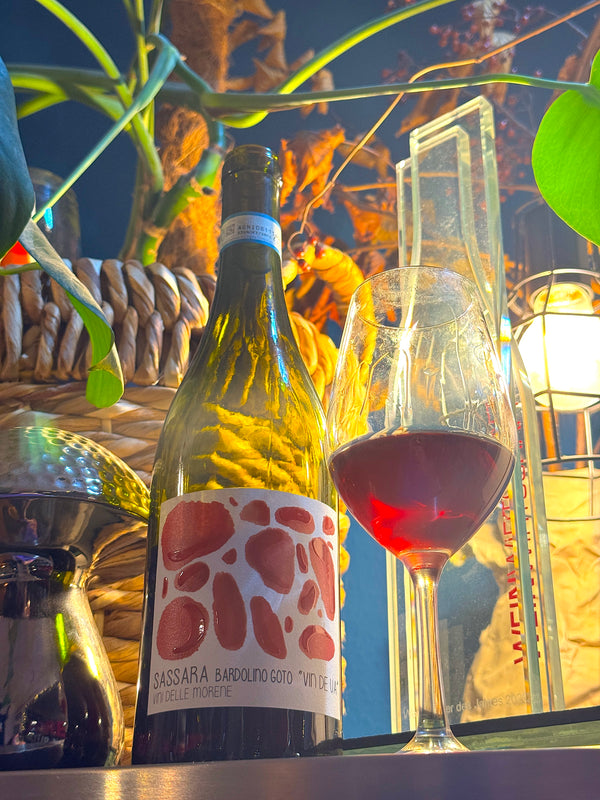 sssara - bardoino goto
