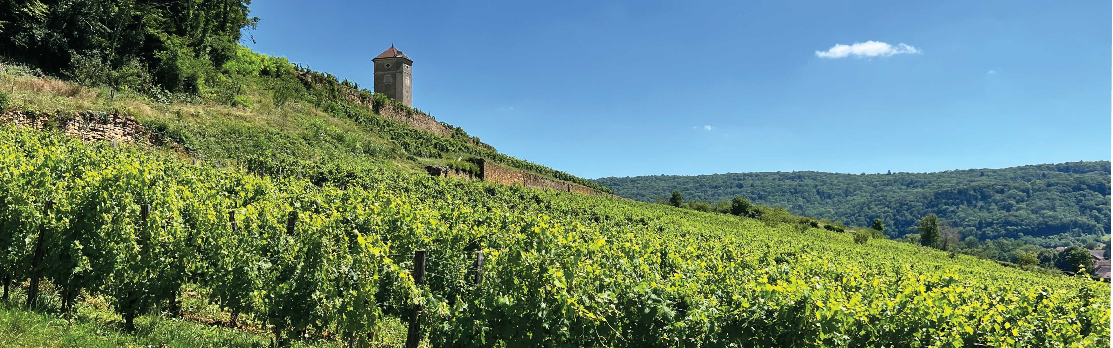 jura wine