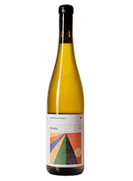  Kamil Barczentewicz riesling
