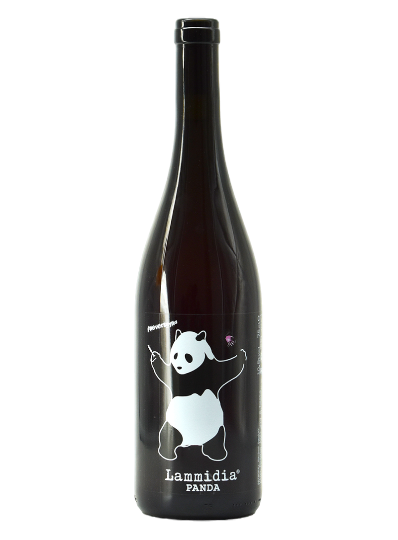 lammidia panda
