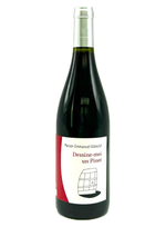 Pinot Noir Dessine Moi un Pinot 2021 | Natural Wine by Domaine Emmanuel Guboulot.