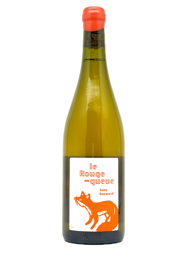 tony bornard melon a rouge queue
