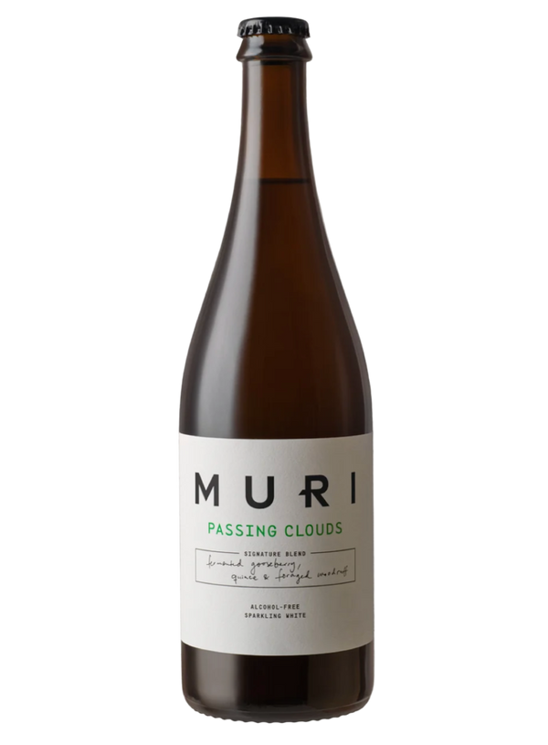 MURI Passing Clouds