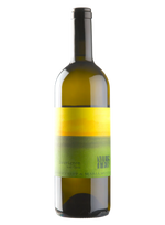 Sauvignon Blanc vom Opok 2022 | Natural Wine by Sepp & Maria Muster.