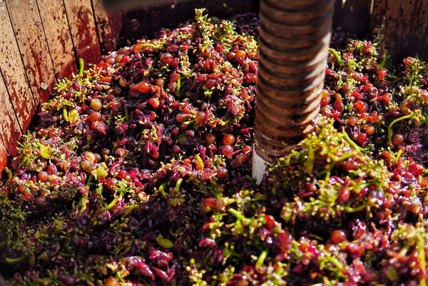 Raspini wine Pinot Gris
