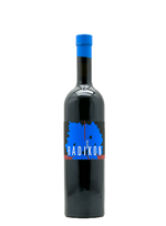 Merlot 2019 (500ml) ONE PER ORDER | Natural Wine by Radikon.