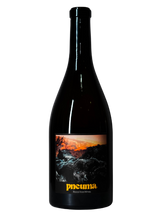 Pneuma 2021 | Natural Wine by Roca Viva.