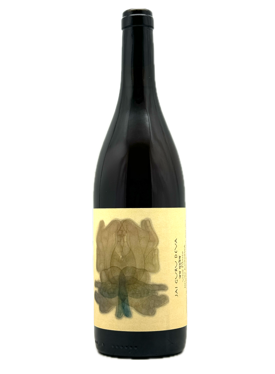 Guru Deva Shun Minowa | Jai Guru Deva 2023 | MORE Natural Wine