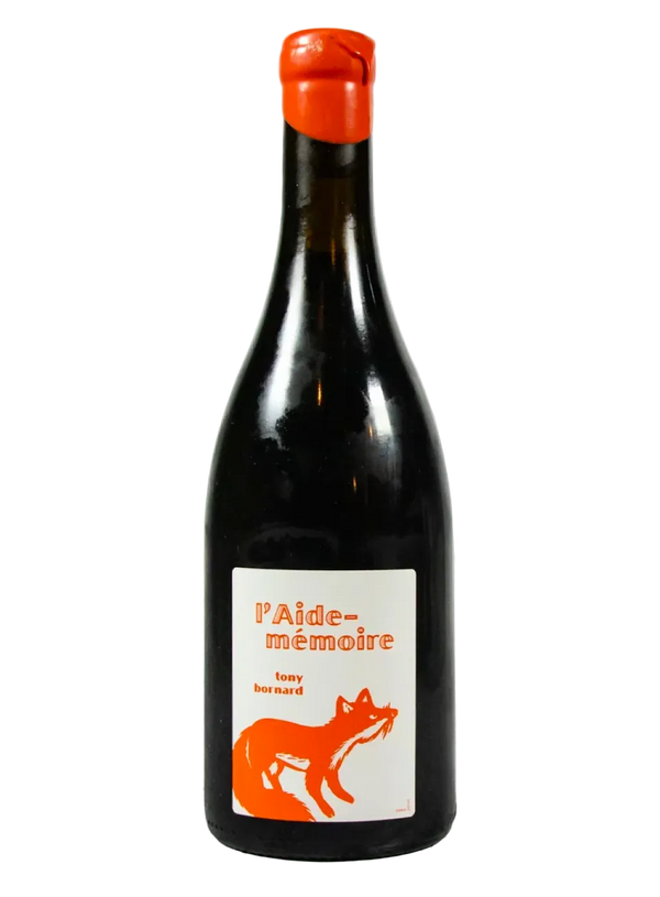 Tony Bornard - L"Aide Memoire