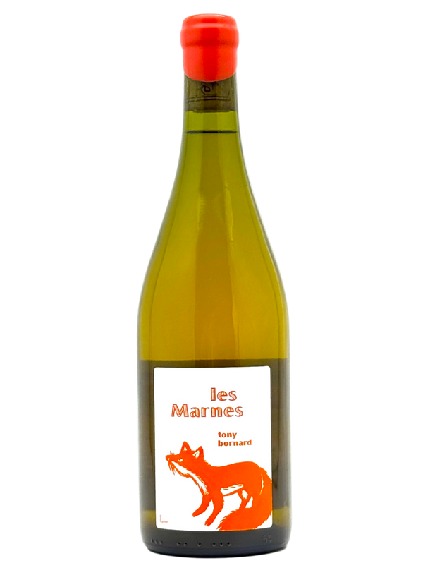 Tony Bornard - Les Marnes