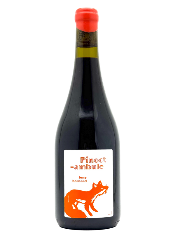 Tony Bornard - Pinocambule

