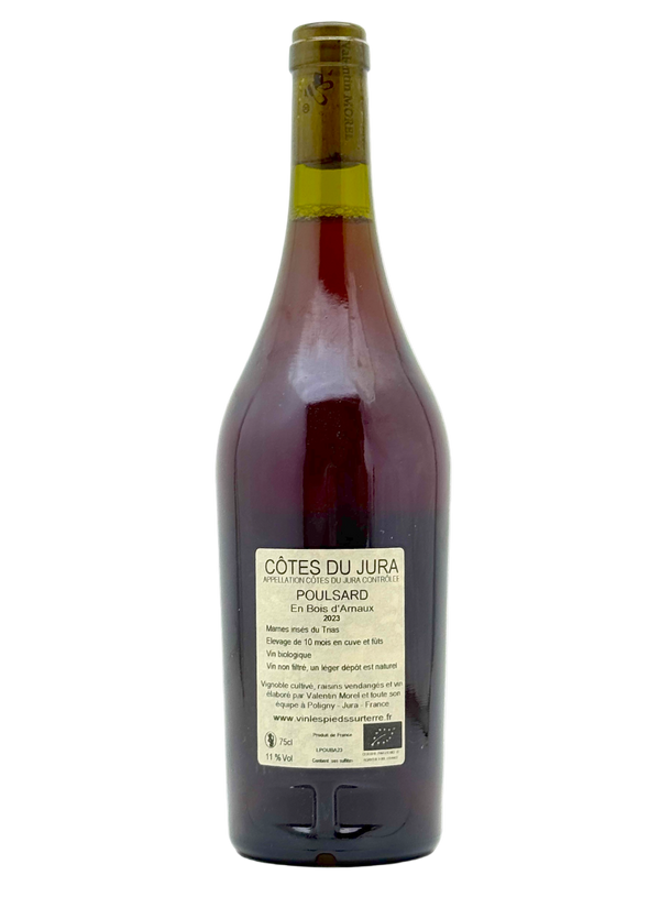 Valentin Morel Les Pieds Sur terre -Poulsard en Bois d'Arnaux back
