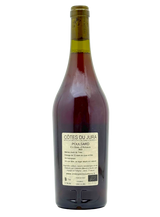 Valentin Morel Les Pieds Sur terre -Poulsard en Bois d'Arnaux back
