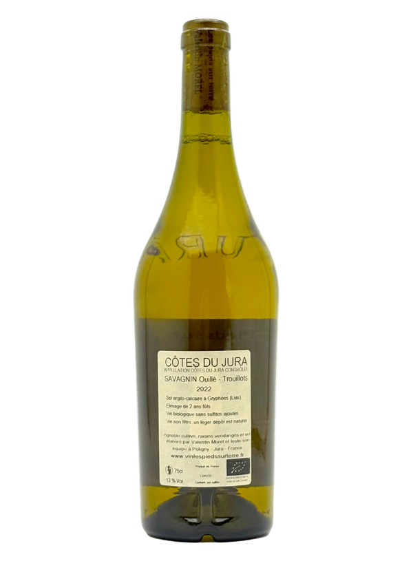 Valentin Morel Les Pieds Sur Terre - Savagnin Les Trouillots back