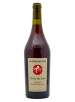 Valentin Morel Les Pieds Sur terre-Poulsard en Bois d'Arnaux