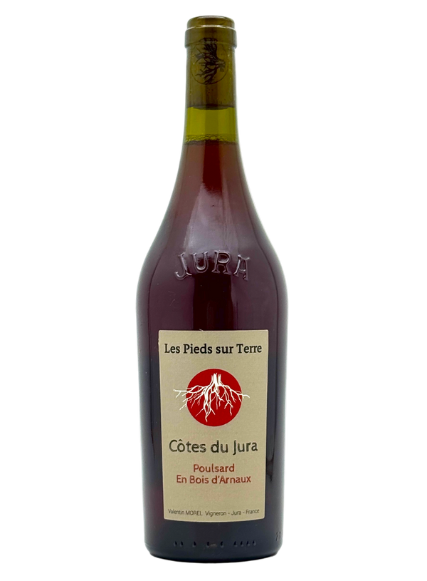 Valentin Morel Les Pieds Sur terre-Poulsard en Bois d'Arnaux