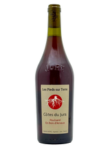 Valentin Morel Les Pieds Sur terre-Poulsard en Bois d'Arnaux