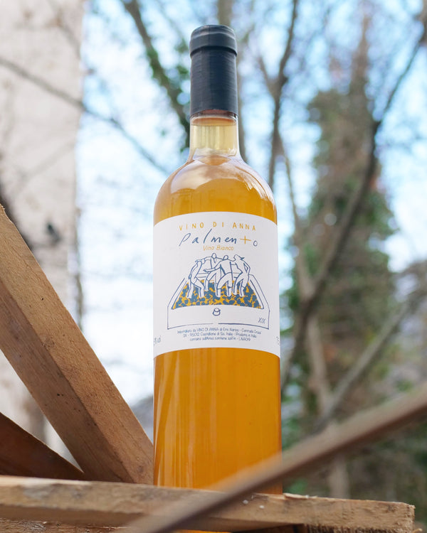 Palmento Bianco is a natural wine crafted by Vino di Anna