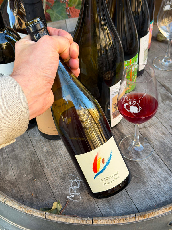 Andrea Calek - A Toi Nous 2024