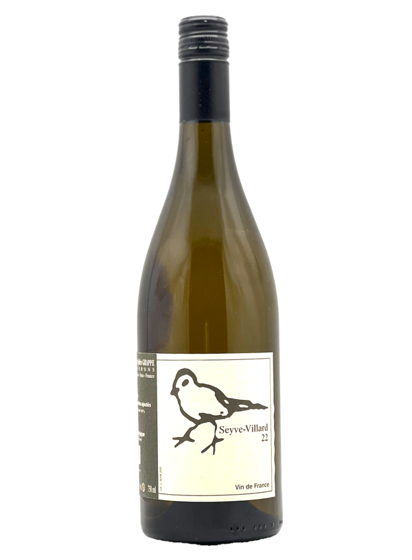 Seyve Villard | Natural Wine by Didier Grappe.
