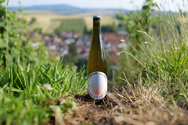 glow glow riesling