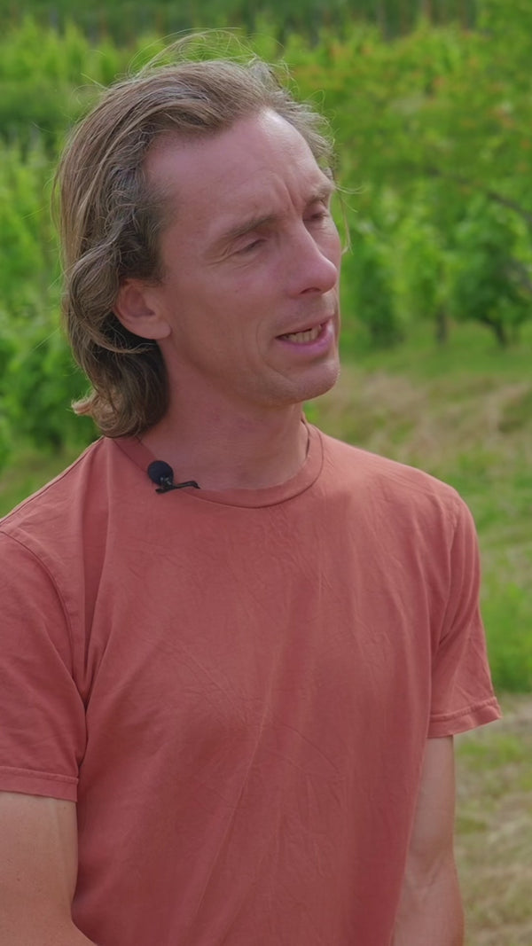 Anders Frederik Steen on Terroir